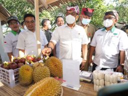 Apresiasi Program Jagoan Tani Banyuwangi, Moeldoko: Indonesia Butuh Kalian