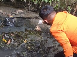 Dikira Bangkai Kucing, Ternyata Orok Bayi di Selokan Jemur Ngawinan Surabaya