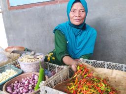 Harga Cabai Rawit di Lamongan Makin "Pedas", Tembus Rp100 Ribu/Kg