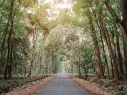 Alas Purwo Dibuka 24 Jam saat Malam 1 Suro