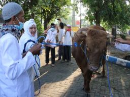 Momen Idul Adha, Bupati Anna Ajak Warga Produktif Pulihkan Ekonomi Bojonegoro