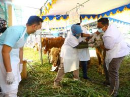 Emil Dardak: Mari Wujudkan Hari Raya Kurban Secara Aman