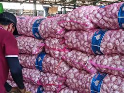 FKP3 Dukung KPK Usut Dugaan Korupsi Impor Bawang Putih