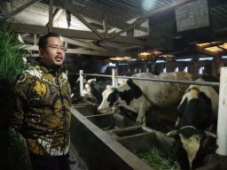 Terima Keluhan Peternak, Ini Harapan Wakil Ketua DPRD Jatim Anwar Sadad soal PMK