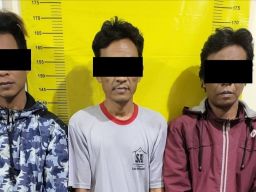 Gondol Pakan Ayam, 3 Warga Malang Ditangkap Polisi
