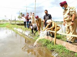 Menengok Kampung Koi Banyuwangi, Naik Kelas Berkat Jagoan Tani