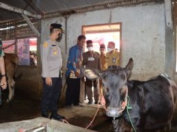 Tinjau Vaksinasi PMK, Kapolres Bondowoso Ingatkan Masyarakat Tak Percaya Hoaks