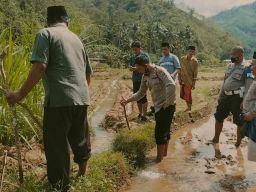 Pilihan Pembaca: Jebakan Tikus, Kecelakaan di Ponorogo, Remas Payudara