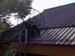 Viral Video Paramotor Gagal Take Off Lalu Nyangkut di Atap Sekolah Kota Batu