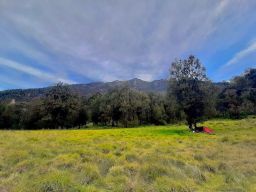 Kabar Peserta Maraton Hilang di Gunung Arjuno masih Misterius