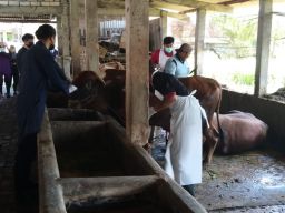 Tiga Hari Jelang Idul Adha, Pengajuan TPH Kurban di Lamongan Masih Minim