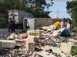 Pikap Terguling di Bojonegoro, Muatan Ikan Tumpah Tutupi Jalan
