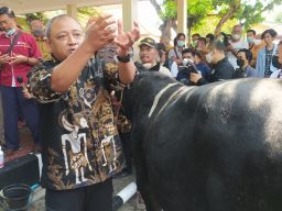 Tinggal 1 Kecamatan Zero PMK, Bupati Lamongan Berencana Salurkan Bantuan Obat