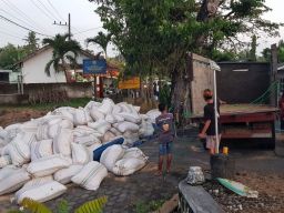 Truk Terguling di Pertigaan Bangorejo Banyuwangi, Muatan Sekam Tutup Jalan