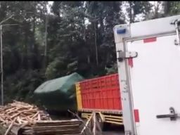 Truk Bermuatan Kayu Kembali Terguling di Raya Gumitir Jember
