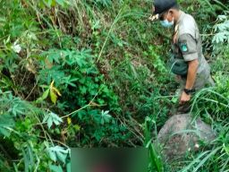 Mayat Wanita dalam Jurang di Pasuruan, Polisi: Ada Tanda Kekerasan