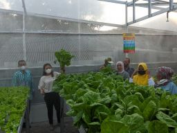 Politisi PDI Perjuangan: Urban Farming Solusi Ketahanan Pangan Warga Surabaya