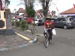 Nggowes 10 Km ke DPRD Jember, Petani Serahkan Sekarung Pupuk Non-Subsidi, Lho?