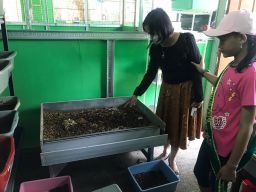 Keren! Bocah SD asal Sidoarjo  Budidayakan Maggot, Lele, dan Kangkung Aquaponik