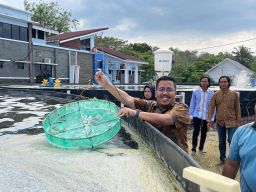 Kunjungi Millennial Shrimp Farm Situbondo, Anwar Sadad: Bisnis yang Menjanjikan