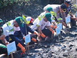 Pemkot Pasuruan Kembangkan Potensi Wisata Pesisir dengan Program Tanam Mangrove