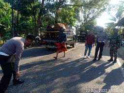 Warga asal Gresik Tewas dalam Kecelakaan Tiga Kendaraan di Pamekasan
