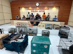 Polda Jatim Bongkar Jual-Beli Satwa Liar Dilindungi, 2 Orang Diamankan