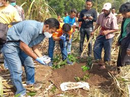 Geger Bungkusan Kafan Berbau Busuk di Pasuruan, Isinya Bikin Ngelus Dada
