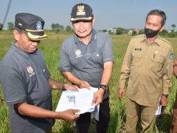 Megilan! Lamongan Segera Punya Training Ground