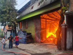 Gudang Pembuatan Palet Kayu di Gresik Terbakar, Api Sulit Dipadamkan