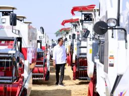 Jokowi Luncurkan Lumbung Pangan Berbasis Mangga dan Taksi Alsintan di Gresik