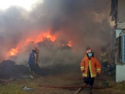 Gudang Plastik di Taman Sidoarjo Terbakar, Berhasil Dipadamkan Setelah 1 Jam