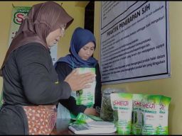 Keripik Rumput Laut Produksi IRT di Pacitan Tembus Pasar Turki