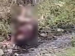 Viral Video 3 Remaja di Jember Tergeletak, Dikabarkan Ditabrak Kereta Api