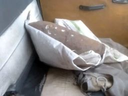 Mortir Diduga Aktif Ditemukan di Krian, Sidoarjo