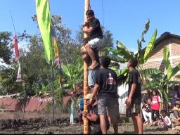 Relawan Des Ganjar Ponorogo Gelar Lomba Panjat Pinang dan Tangkap Ikan