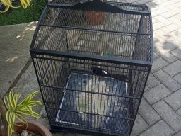 Pria Asal Kediri Tertangkap Curi Burung di Malang