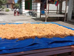 Nelayan di Sumenep Fokus Berburu Ikan Terbang, Telurnya Laku Rp900 Ribu Per Kg