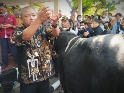 Kasus PMK di Lamongan Terus Menurun