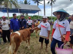 Rayakan HUT ke-77 RI, NasDem Jatim Gelar Jalan Sehat Berhadiah Sapi