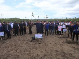 NasDem Jatim Juga Tanam Ribuan Pohon Mangrove di Banyuwangi