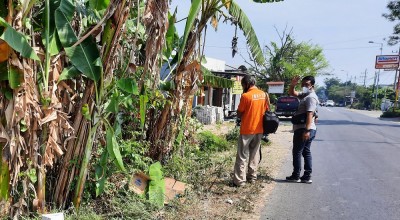 Geger Mayat Pria Terlilit Sajadah Ditemukan Pinggir Jalan di Mojokerto