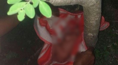 Warga Temukan Bayi Perempuan di Bawah Pohon Kelor