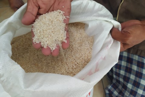 Beras BPNT Kualitas Buruk Kembali Ditemukan di Jombang, KPM: Rasanya Sepo