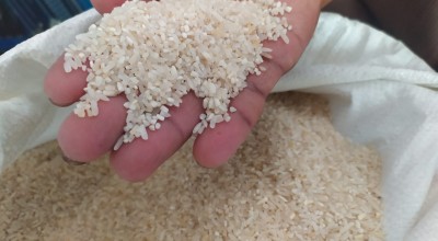 Dinsos Jombang Pastikan Beras BPNT di Jogoroto Tak Layak Konsumsi