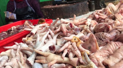 Konsumsi Ceker Ayam Berlebih Bisa Akibatkan Gampang Lelah hingga Stroke