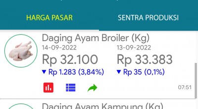 Berikut Daftar Harga Telur dan Daging Ayam Terbaru di Jatim