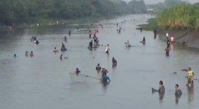 Dam Balongsono Sumobito Ditutup, Warga Jombang Full Senyum Tangkap Ikan