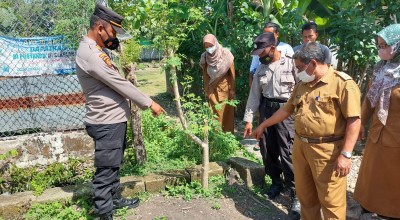 Kronologis Temuan Bayi di Bawah Pohon Kelor