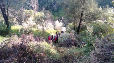 Pilihan Pembaca: Kecelakaan Jeep di Wisata Gunung Bromo